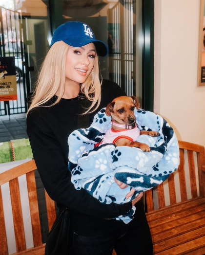 Paris Hilton volunteered at the Pasadena Humane Society after losing her home