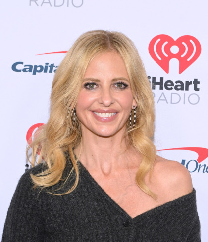 A Buffy the Vampire Slayer reboot starring Sarah Michelle Gellar is in talks with Hulu