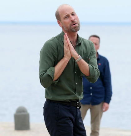 Jeffrey Epstein donated $50K to Prince William's patronage in 2013-14