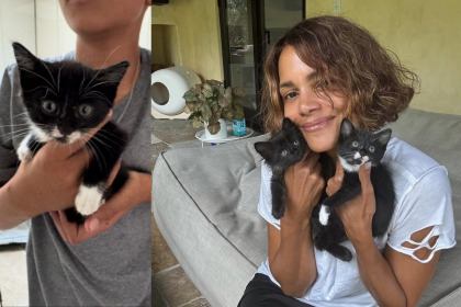 Halle Berry has been fostering kittens and wants to start her own cat rescue